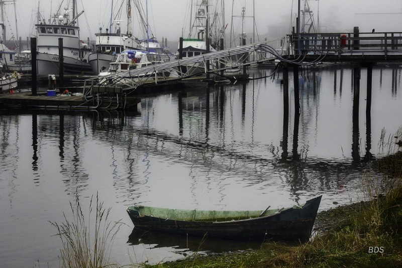 La Push Harbor- Photoby As We See It! BDS Photo